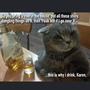 Meet your Posher, Piper